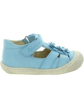 Petunia Blue Petunia Blue