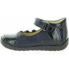 Winnetka Blue