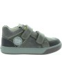 Forest Gray
