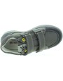 Forest Gray