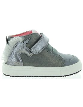 Konik Gray Konik Gray