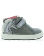 Konik Gray