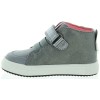 Konik Gray