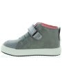 Konik Gray