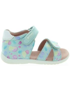 Arnika Blue Arnika Blue