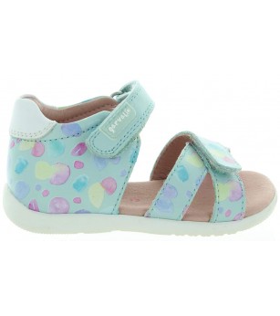 Arnika Blue
