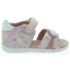 Arnika Pink