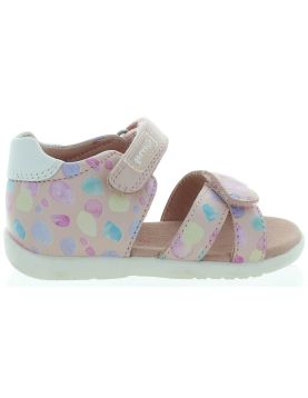 Arnika Pink Arnika Pink