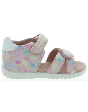 Arnika Pink