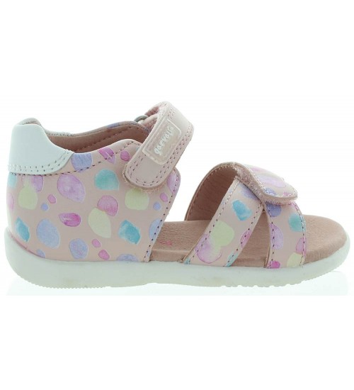 Arnika Pink