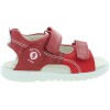 Bizon Red