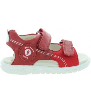 Bizon Red