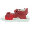 Bizon Red