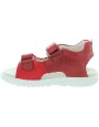 Bizon Red