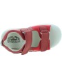 Bizon Red
