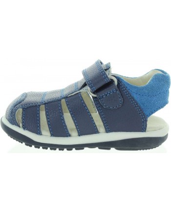 Dante Blue Dante Blue