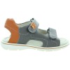 Norbi Gray