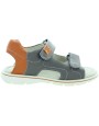 Norbi Gray