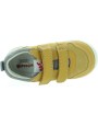 Gavi Yellow