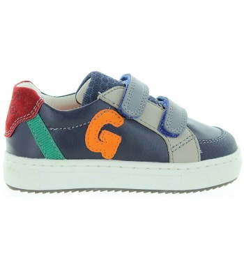 Ogorek Blue