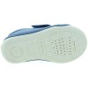 Botan Blue 