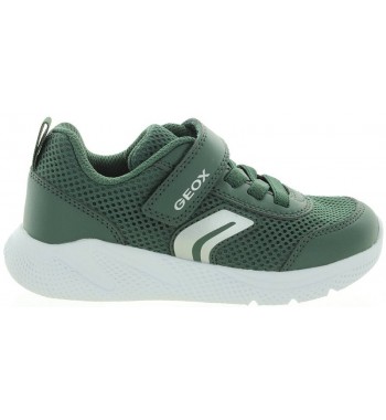 Sprinter Green