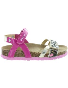 Koparka Fuschia Koparka Fuschia