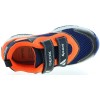 Ptak Orange