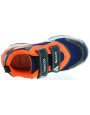 Ptak Orange