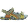 Arymut Olive 