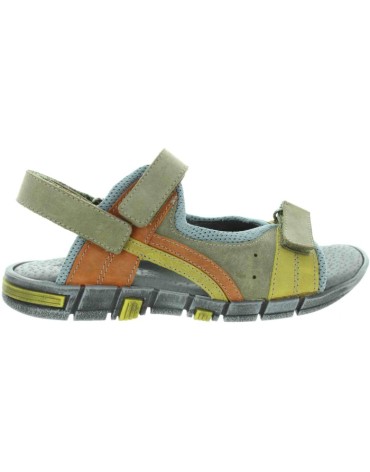 Arymut Olive 