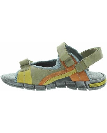 Arymut Olive Arymut Olive