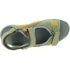 Arymut Olive 