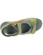Arymut Olive 