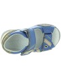 Texas Blue