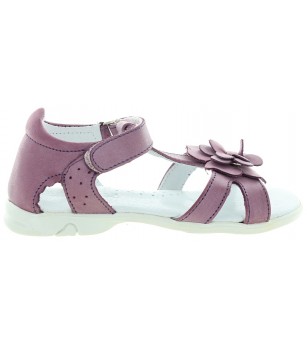 Bimbo Purple Bimbo Purple
