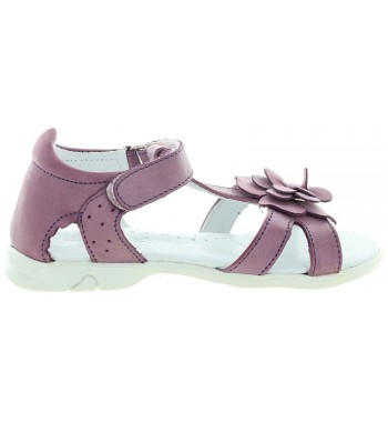 Bimbo Purple