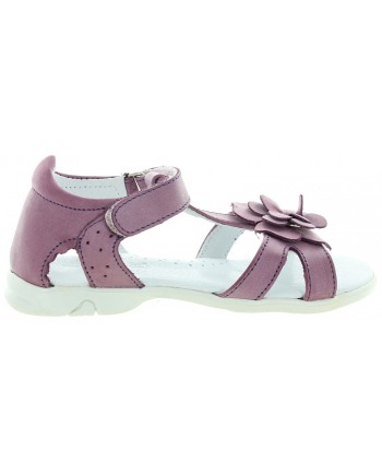 Bimbo Purple
