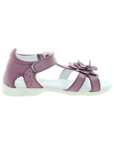 Bimbo Purple