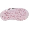 Migdal Fuchsia