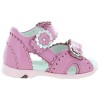 Stokrotka Pink