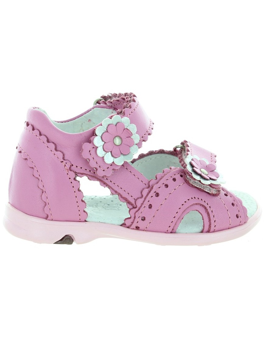 Stokrotka Pink