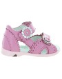 Stokrotka Pink