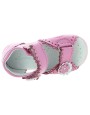 Stokrotka Pink