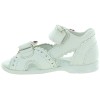 Stokrotka White