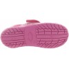 Jania Fuchsia