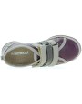 Pieczarka Purple