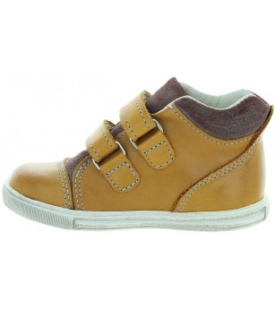 Boston Brown Boston Brown