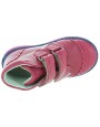 Poziomka Red