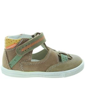 Azor Brown Azor Brown